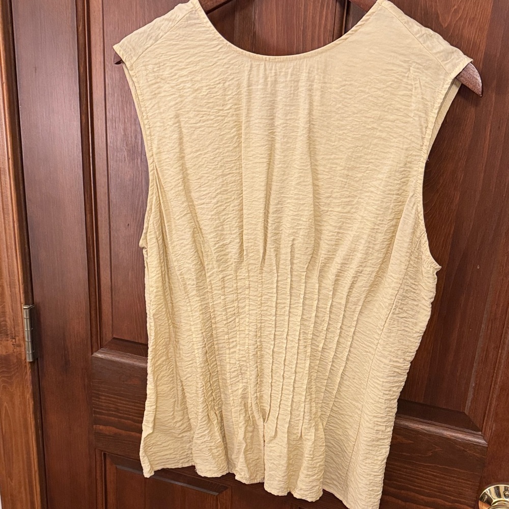 Anthropologie Top with Flattering Waist Seams